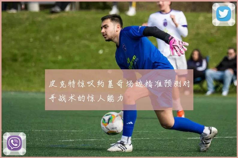 皮克特惊叹约基奇场边精准预测对手战术的惊人能力